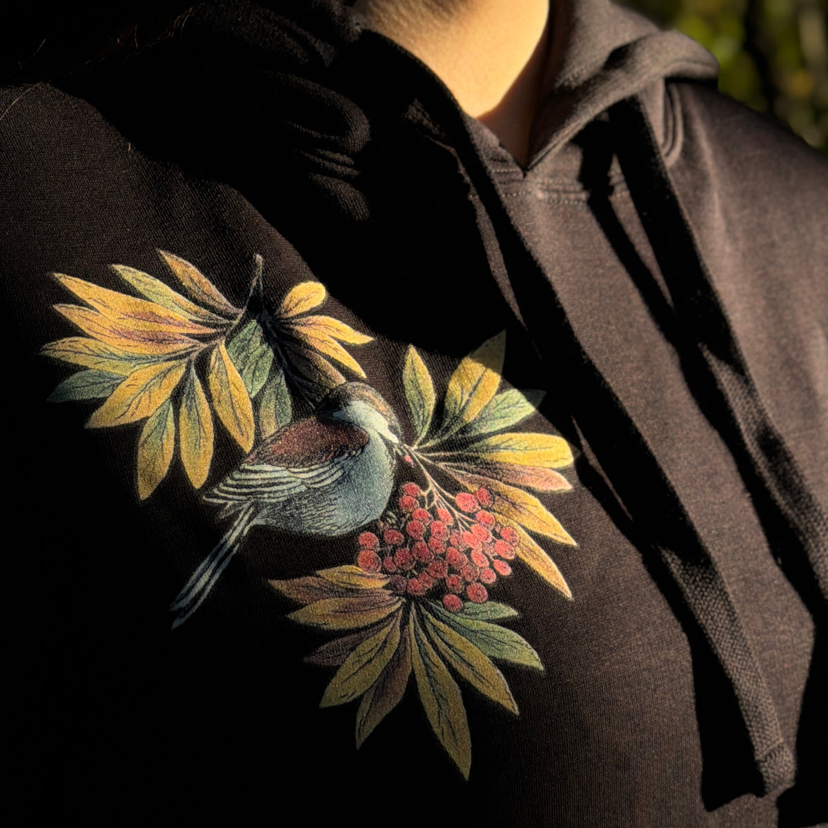 Tilhi huppari 2026