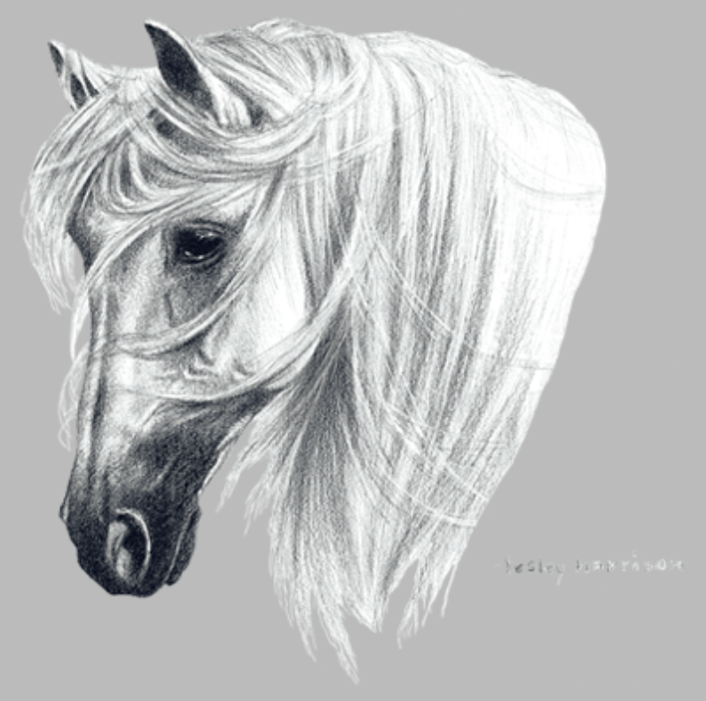 Andalusian