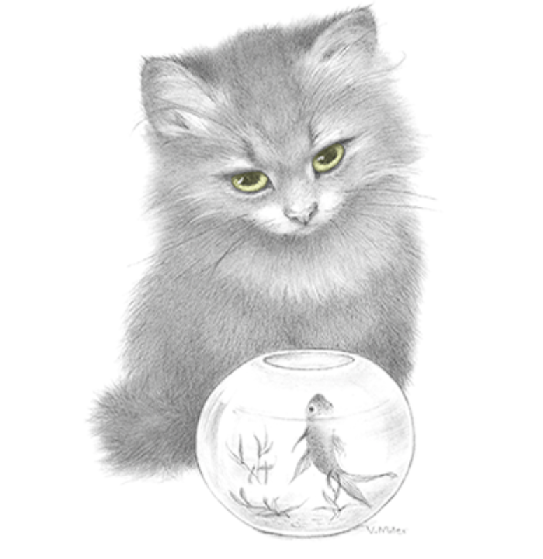 Kissa ja fishbowl