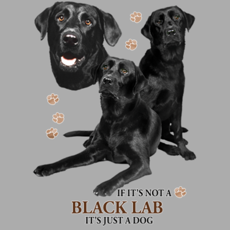 Black Lab (rotukuva)