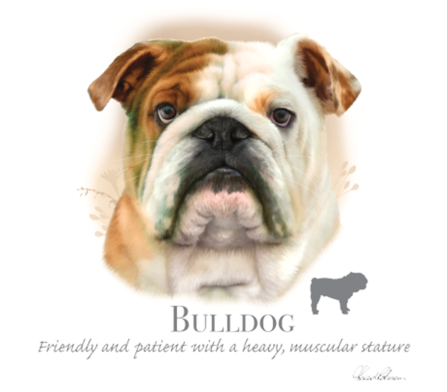 Bulldog (rotukuva)