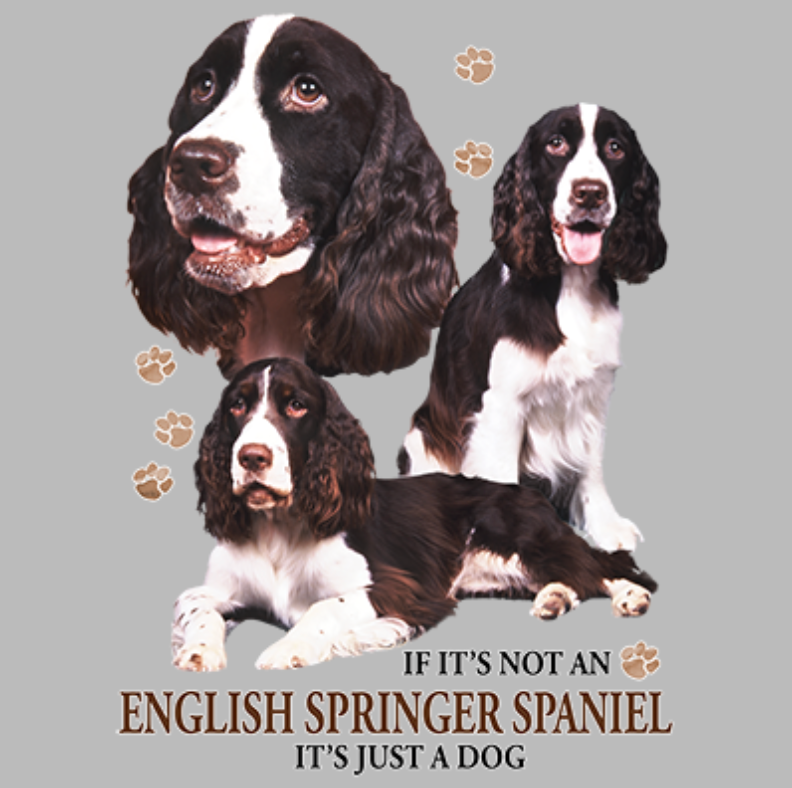 English Springer Spaniel (rotukuva)