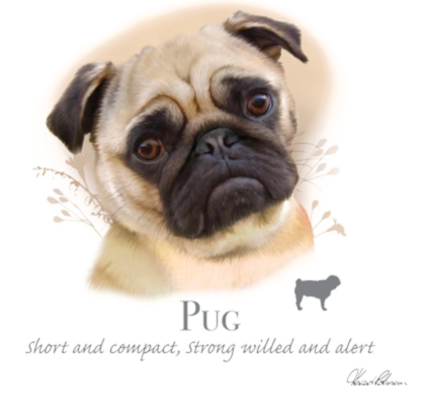 Pug (rotukuva)