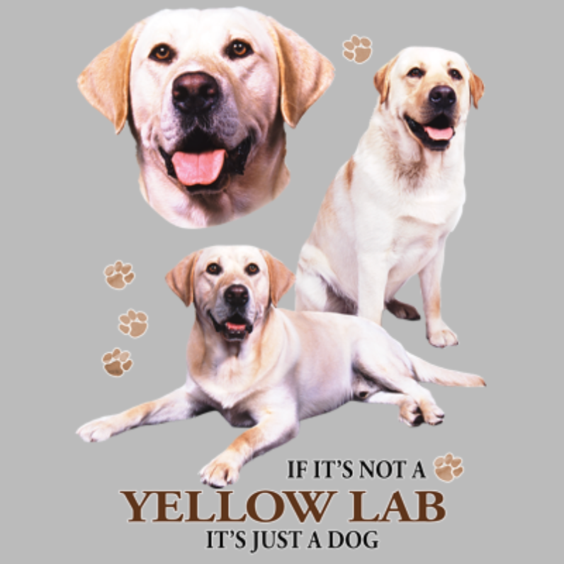 Yellow Lab (rotukuva)